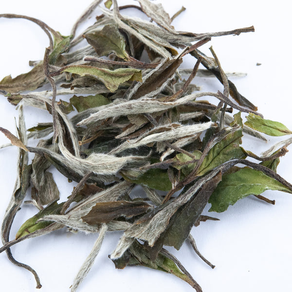 Wild White Peony White Tea (Bai Mu Dan)