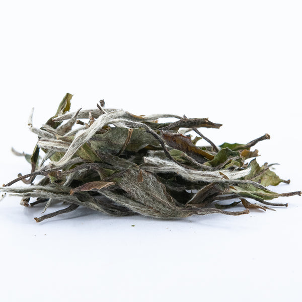 Wild White Peony White Tea (Bai Mu Dan)