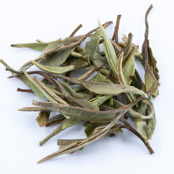 Wild White Peony White Tea (Bai Mu Dan)