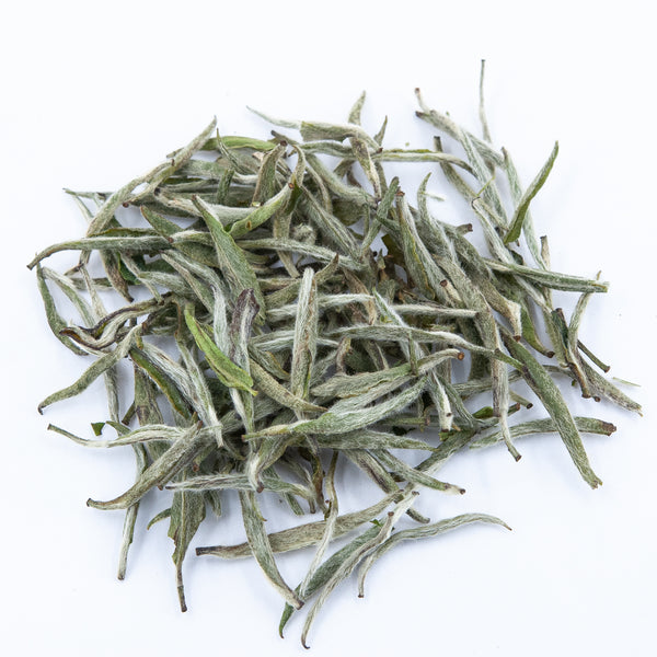 Silver Needle White Tea (Bai Hao Yin Zhen)