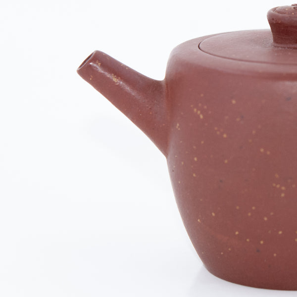 Yixing Zini Bright Stars In The Sky Gao Bei Shape Chinese Teapot (Yinyang Nod) #30