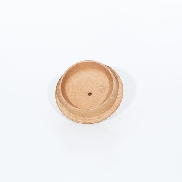 Duan Ni Shilan Shape Chinese Teapot (Carving)