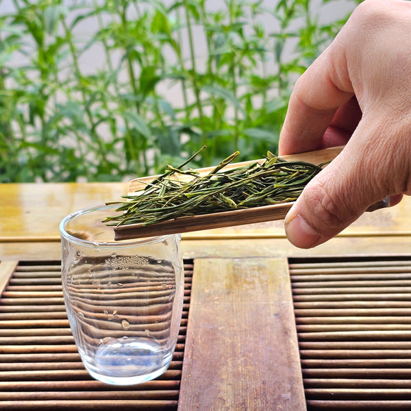 New 2025 Ming Qian (Early April) Anji Bai Cha Green Tea