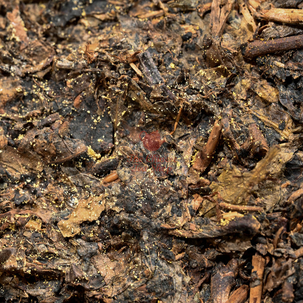 1995 Fu Zhuan Tea Brick, Hunan Province