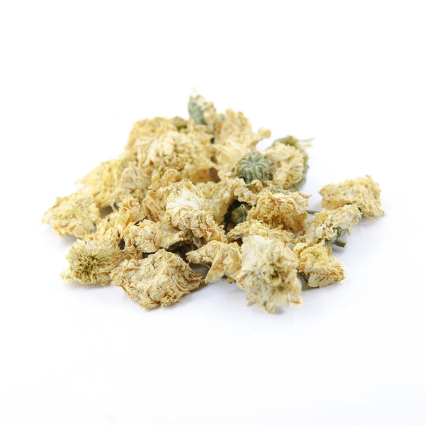 Premium Hang Bai Gong Chrysanthemum Flower