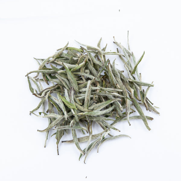 Silver Needle White Tea (Bai Hao Yin Zhen)