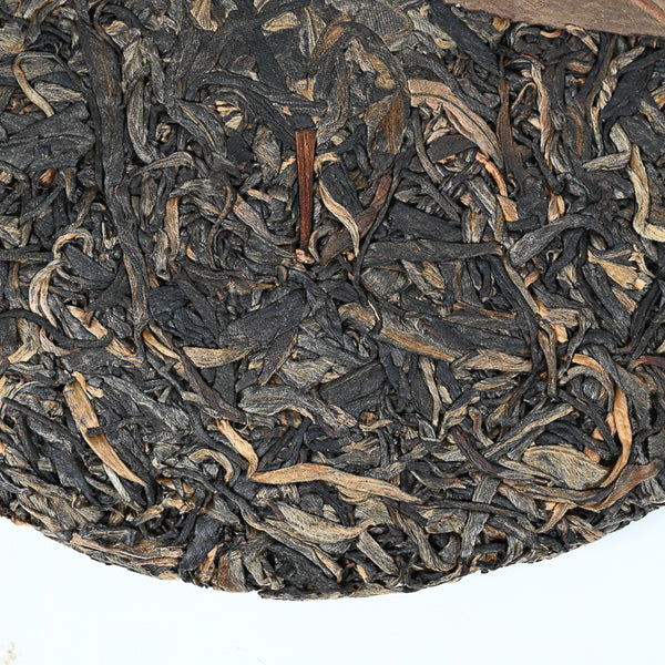 2020 Bingdao Yun Tea Cake, (Raw/Sheng)