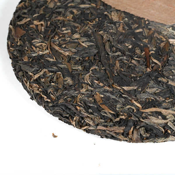 2020 Bingdao Yun Tea Cake, (Raw/Sheng)