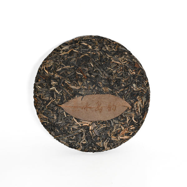 2020 Bingdao Yun Tea Cake, (Raw/Sheng)