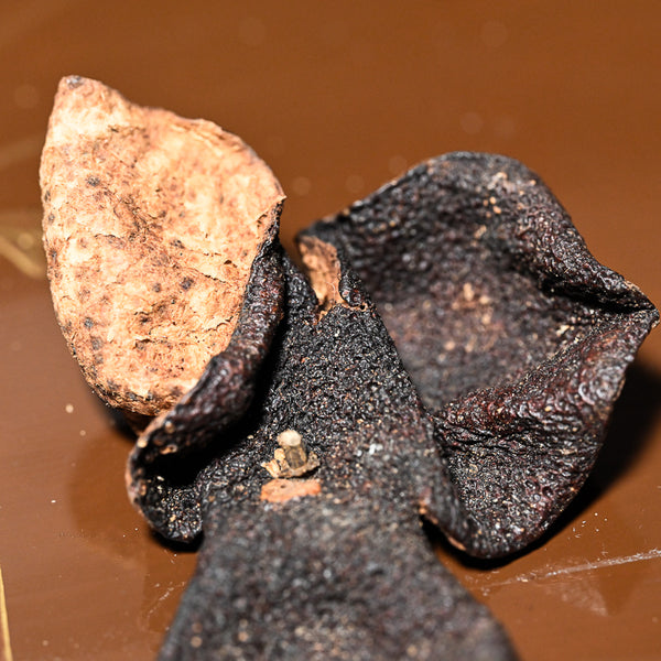 2006  Xinhui Meijiang Tangerine Peel, Chenpi
