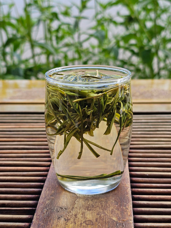 2024 Ming Qian (Early April) Anji Bai Cha Green Tea