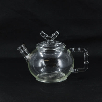Contemporary Large Tempered Glass Tea Pot