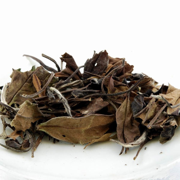 2006 High Mountain Shou Mei Loose Leaf White Tea